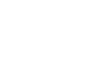Boom Festival Official Movies Logo